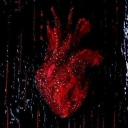 ⌖ Searching . . . .⋆♱⃓ Discord server icon