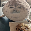🦭 Silly Seals 🦭 Discord server icon