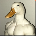 EONVALE Discord server icon