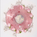 🌌 The Tale of Eryndor Discord server icon