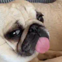 server to relax and chill in Discord server icon