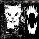 vampire cats Discord server icon