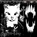 vampire cats
