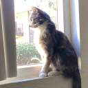 locker Discord server icon