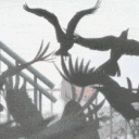 ☾《Tsukuyomi’s Eclipse》☾ Discord server icon