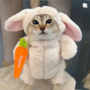 mei mei den Discord server icon