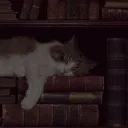 The Readers Society 18+