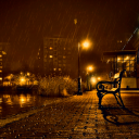 ۶ৎ𝑇ℎ𝑒 𝑁𝑖𝑔ℎ𝑡 𝑊𝑎𝑙𝑘۶ৎ Discord server icon