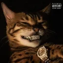 𝔖𝔭𝔬𝔱𝔱𝔢𝔡 𝔏𝔲𝔵𝔢 𝔏𝔬𝔲𝔫𝔤𝔢's icon