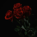 Tᕼᙓ ᖇᙀIᑎS Oᖴ Tᕼᙓ ᐯIᒪᒪᗩᘜᙓ