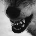 CALL OF THE MOON - WEREWOLF RP Discord server icon