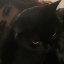 ໋      ݁　ׂ༷城   ׂ   ♡͝ᣟ   ۪    ݁   ໒꒱ 　۫  renewal  ♡ Discord server icon