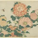 chrysanthemums ‧₊˚❀༉‧₊˚.
