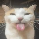 untitled.jpeg Discord server icon