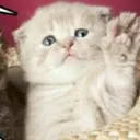 evans bakery <3 discord icon