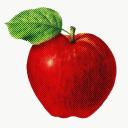 apples . | applelover . ˚🍎୨˚ . !