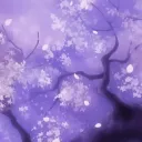 ℯ𝓍𝓁𝒾𝓅𝓈ℯ 🦢𐙚ֶָ֢