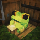 Vermoon SMP Discord server icon