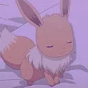 Eevees Playpen!・❥