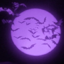 Batcave . 🦇 Discord server icon