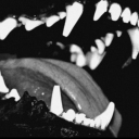 Boredloners Discord server icon