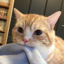 Bored Discord server icon