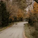 𝐖𝐞𝐥𝐜𝐨𝐦𝐞 𝐭𝐨 𝐄𝐥𝐦𝐬𝐭𝐞𝐚𝐝 - 𝐎𝐂 𝐑𝐨𝐥𝐞𝐩𝐥𝐚𝐲