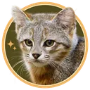 >Chileɑn Coɾe_