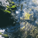 ⋆          SERENE     ༄ Discord server icon