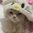 Faded Solutions discord icon