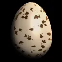 Oeuf