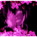 Scheckt.fein | SMELL.TASTE.CONNECT. server icon