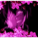 Server icon for BO7 Ranked Network GERMANY