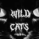 Server Icon