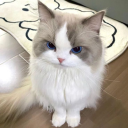 묘 연 Discord server icon