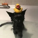 Entertainment