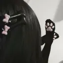 kittyqt