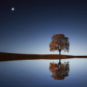 awake Discord server icon