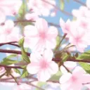 ʚ . 𝐏𝐚𝐧𝐝𝐨𝐫𝐚’𝐬 𝐠𝐚𝐫𝐝𝐞𝐧 . ɞ