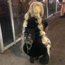 ꧁༺· Amethyst Lounge ·༻꧂ Discord server icon