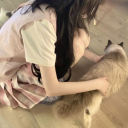 ☼・sunny’s feline sanctuary・✧
