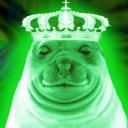 Server Icon