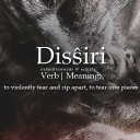 💔𓂃 /DissiriSMP﹑𝜗𝜚 Discord server icon