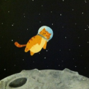 💫 . celestial kitties ⋆˙⟡ Discord server icon