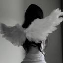 /evanescence
