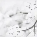 𝓗eaven's 𝓚iss  .  dnfil | revamping
