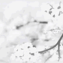 𝓗eaven's 𝓚iss  .  dnfil