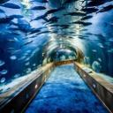 Aquatic Haven