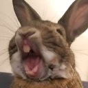 Smokes community Discord server icon