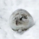 Lemming Inc. Discord server icon